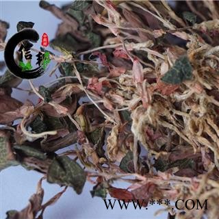 金线莲优质金线莲整株福建产地仿野生产地直销专注品质，诚信信邦！图4