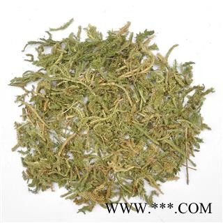 【满298元包邮】伸筋草 伸筋草选段 产地 云南省 一公斤一袋图3