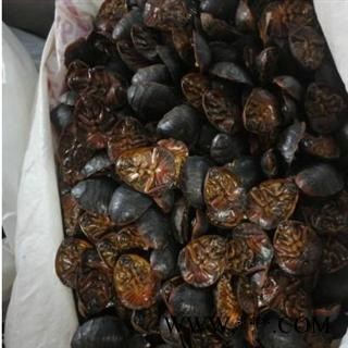 土元 统货 产地 山东省图2