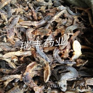 壁虎 统货 产地 广西壮族自治区图2