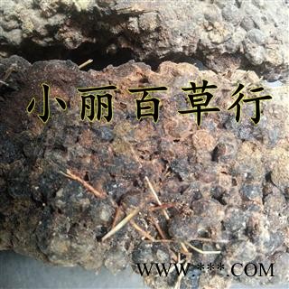 血灵脂  糖灵脂图2