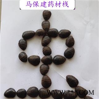 土元 土鳖虫大统货 产地 山东省图3