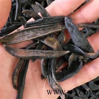 水蛭个 小水蛭清水统货 产地 浙江省图3