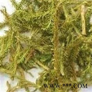 伸筋草 万信药业！ 伸筋草绿色统段 纯绿色 无杂色 新货到了 低价销售   产地 四川省图2