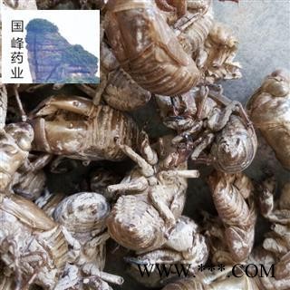 蝉蜕 统货 沙土货 少泥土 无虫蛀 国峰药业 重在品质 产地 山东省图2