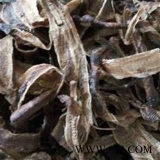 地龙 半开货  产地 河南省图2