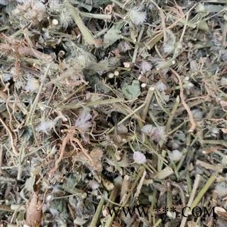 野生山草药夜香牛 消山虎 寄色草假咸虾花伤寒草染色草缩盖斑鸿菊拐棍参 植物全草切断干品图2