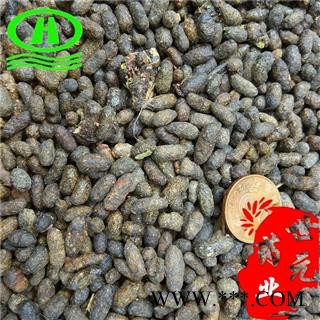 世元药业 五灵脂 正品野 寒雀粪 曷旦 灵脂米图2