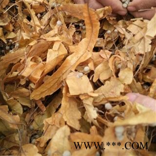 秦岭野生椴树花日晒无硫500g图3