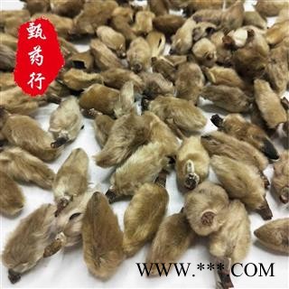 辛夷花 无硫统货 一手货源批发 产地河南 甄选药材行 为你真选好药材图4