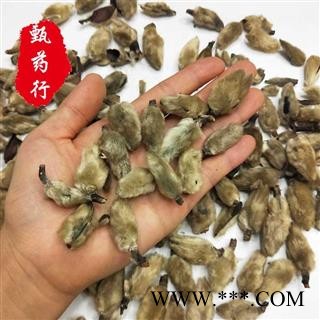 辛夷花 无硫统货 一手货源批发 产地河南 甄选药材行 为你真选好药材图3