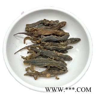 壁虎 进口壁虎统个 产地 海外图1