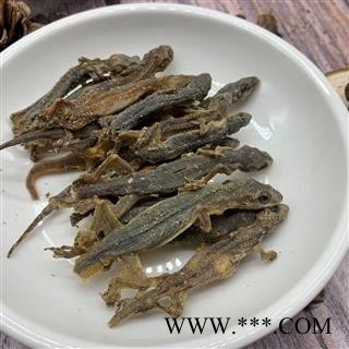 壁虎 进口壁虎统个 产地 海外图2