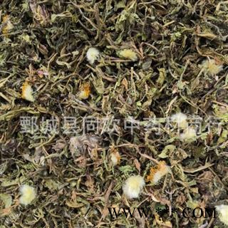 【新货蒲公英】@【同欢药材】中药材批发供应 产地  山东省  规格齐全 量大从优图3