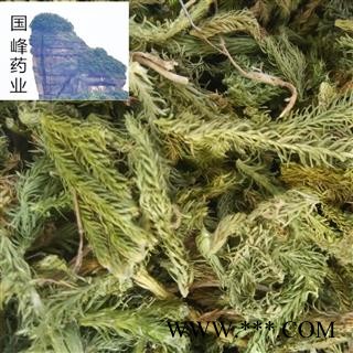 伸筋草 石松 青黄色 好统货 全干 无杂质 国峰药业 重在品质 产地 云南省图2