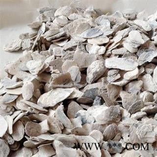 娟子中药 牡蛎 牡蛎 产地 福建省图4