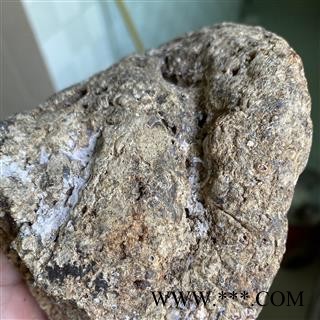 龙涎香 龙涎香 产地 海外图3