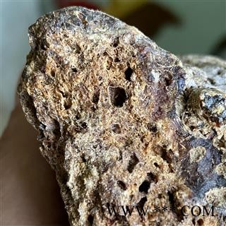 龙涎香 龙涎香 产地 海外图2