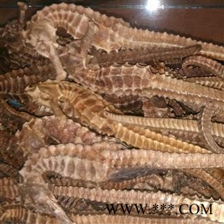 海马 特选海马17g以上 产地 海外图2