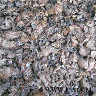 蝉蜕 蝉蜕碎，药厂投料打粉 产地 安徽省图3