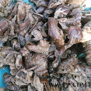 蝉蜕 蝉蜕碎，药厂投料打粉 产地 安徽省图2