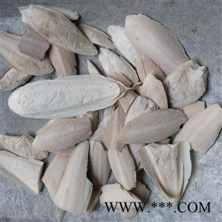 海螵蛸 统块 产地 海南省图2