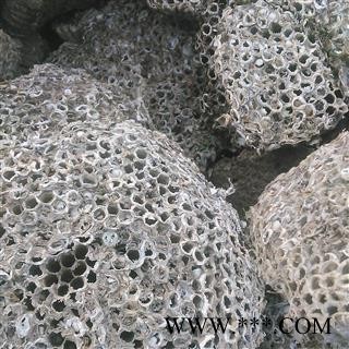 蜂房 软蜂房统货 产地 安徽省大货批发价图2