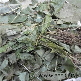 淫羊藿含量高于甘肃2-5倍。 青统货 产地 四川省成都市双流县 库存 100千克可售图4