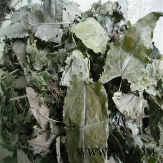 淫羊藿含量高于甘肃2-5倍。 青统货 产地 四川省成都市双流县 库存 100千克可售图3