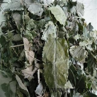 淫羊藿含量高于甘肃2-5倍。 青统货 产地 四川省成都市双流县 库存 100千克可售图2