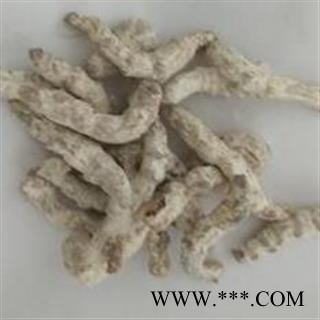 僵蚕 僵蚕统货 地道药材 好统货 产地 广西壮族自治区图2