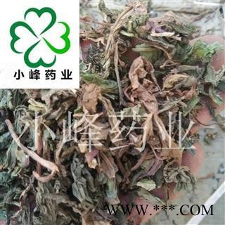 蒲公英 家种蒲公英  统货 颜色好 无虫蛀 产地 山东省图3