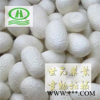 世元药业 蚕茧（带蚕蛹）别称蚕衣 茧黄 蚕壳 另有不带蚕蛹图1