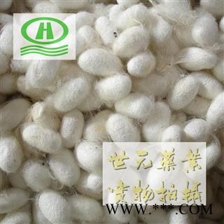 世元药业 蚕茧（带蚕蛹）别称蚕衣 茧黄 蚕壳 另有不带蚕蛹图2