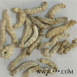 僵蚕 僵蚕统货 产地 四川省图2