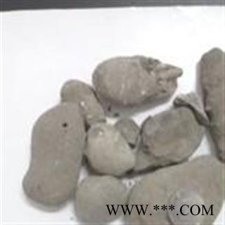 石螃蟹 石蟹 螃蟹化石 蟹化石图2