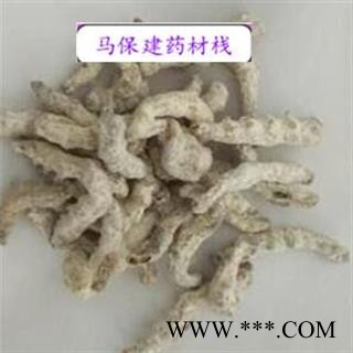 僵蚕 僵蚕统货 产地 广西壮族自治区图2