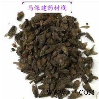 虻虫 陕西虻虫统货 产地 陕西省图2