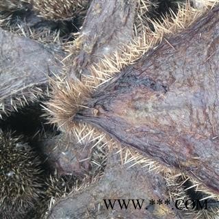 刺猬皮片1000克促销批发 刺猬皮选货 产地 四川省图2