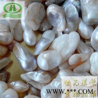 世元药业 珍珠 异形珍珠 正品 高性价比 【全品除尘中药】图2