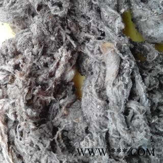 世元药业 壁钱幕 正品 壁钱茧 优质璧钱【全品除尘中药】图1