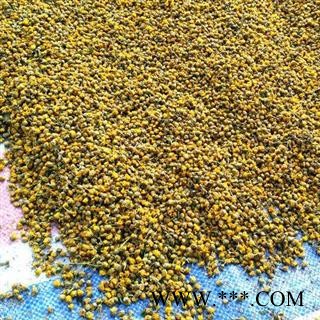 【新货香浓】秦岭野生小菊花 散装菊花头茬花蕾 日晒无硫500g图4