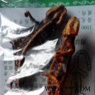 世元药业 海狗一对25元 一条为一对 正品 各种动物中药材【全品除尘中药】图3