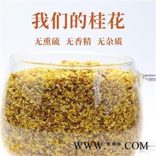 桂花 精选桂花新货 无杂质 无香精 产地 广西壮族自治区 道地药材 发货快图3