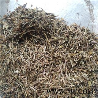 半枝莲 统段 产地 河南省图2