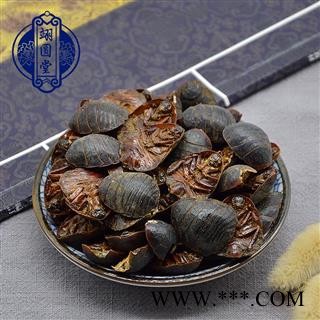 土鳖虫 选货 产地 山东省图2