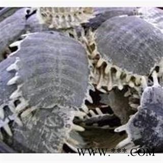 鳖甲  精品手选货 整个无碎块 没有杂质 去肉干净 好货 不掺骨头 产地 山东省图2