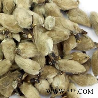 辛夷 统 产地 河南省图2