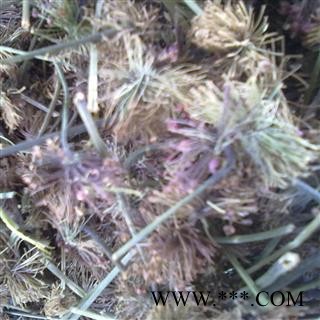 （包邮）特级文山三七老花盘图3