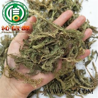 【满包邮】伸筋草统货散装四川产地直供大伸筋沁信源中药批发图3